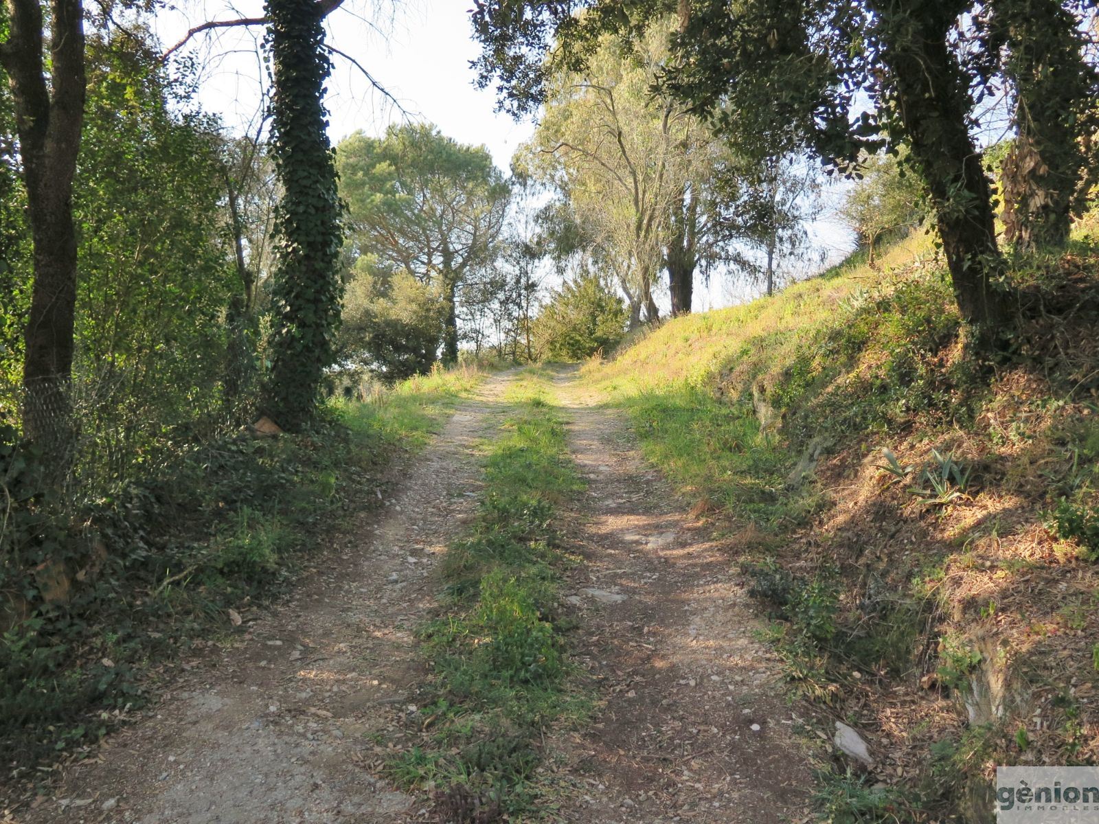 FARMHOUSE IN QUART, NEXT TO GIRONA. LIVING AREA OF 265 M² ON A 7,000 M² PLOT