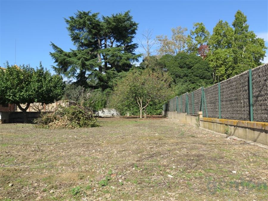 CASA DE PIEDRA EN MONELLS: 1.133M² CONST. Y 1.800M² DE TERRENO