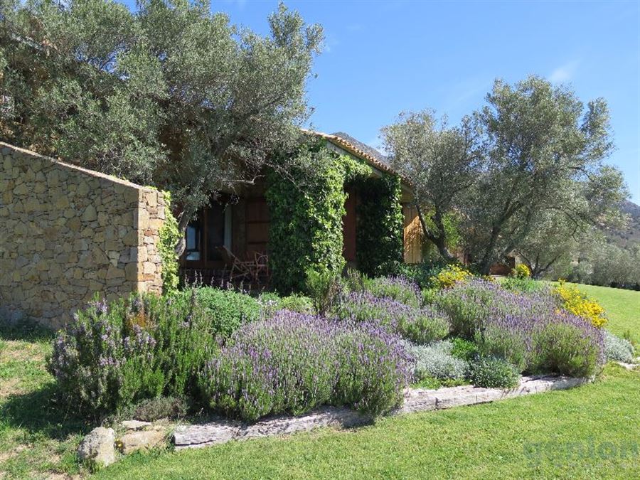 CASA A PALAU SAVERDERA, ALT EMPORDÀ. ESPECTACULAR, AMB VISTES A LA BADIA DE ROSES