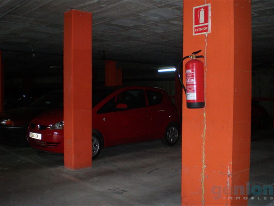 PARKING SPACES FOR BIG AND MEDIUM CAR